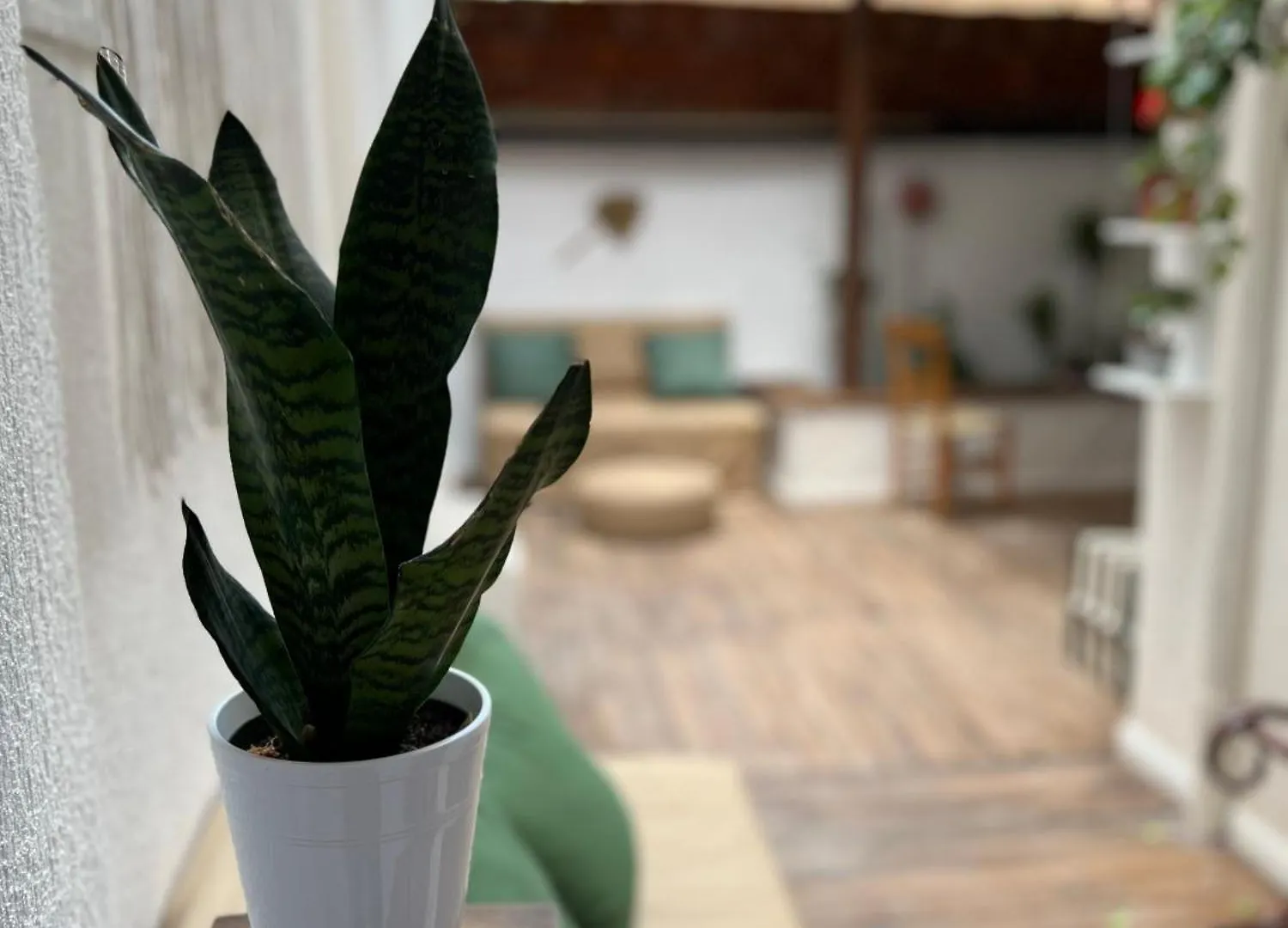 Trip'N'Hostel Chill Zone Τίρανα 0*,  Αλβανία
